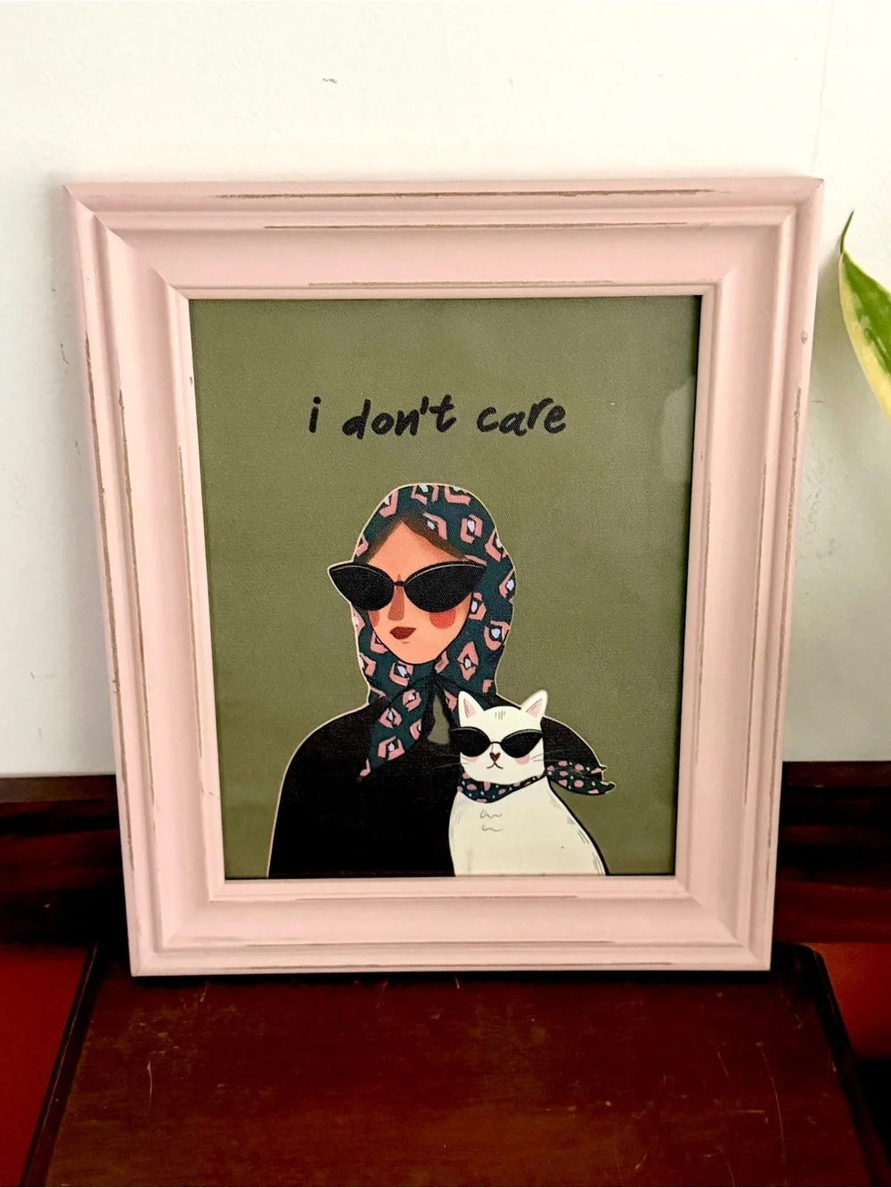 “I Don’t Care” Cat Lady Vintage Style Framed Wall Art Print Pink Green 10.5x12.5